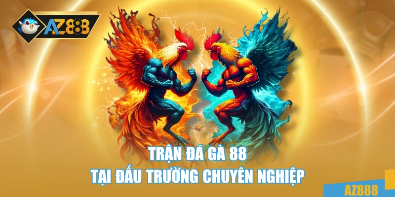Đá Gà 88 – Giải Trí Đỉnh Cao, Cá Cược Đậm Chất Máu Lửa 2 Trận đá gà 88 tại đấu trường chuyên nghiệp
