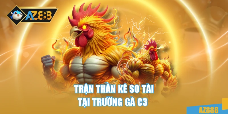 Trực Tiếp Đá Gà C3 – Cực Đỉnh Với Từng Pha Đấu Mãn Nhãn 4 Trận thần kê so tài tại trường gà C3