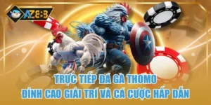Trực Tiếp Đá Gà Thomo – Đỉnh Cao Giải Trí Và Cá Cược Hấp Dẫn